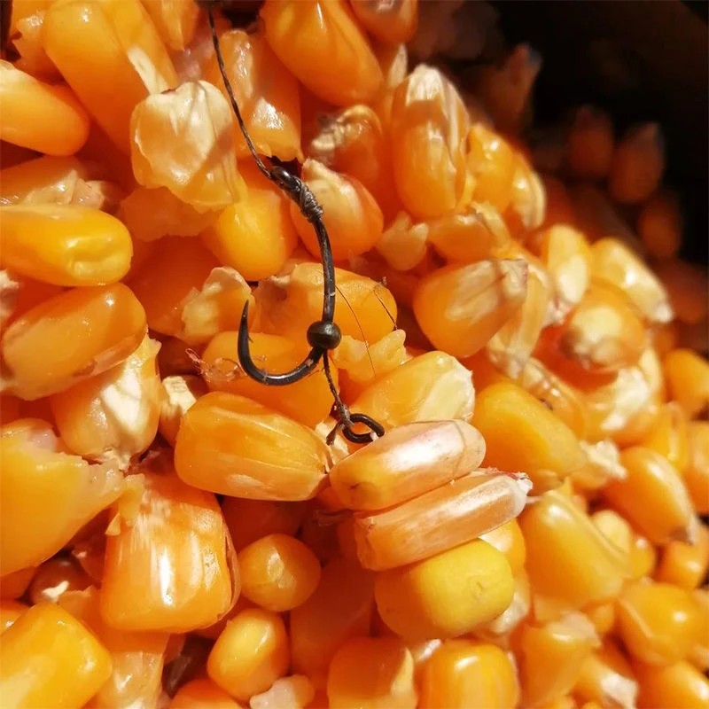 Enterprise Sinking Corn Yellow